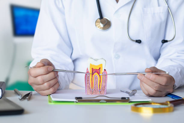 Best Emergency Tooth Extraction in Kalida, OH